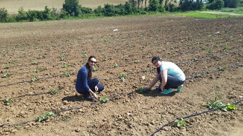 10313093_399865420222956_8957912166339232612_n