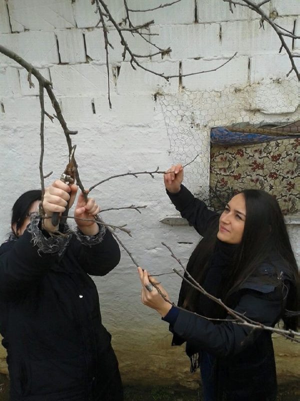 11037550_336021129940719_8637299290340614634_n