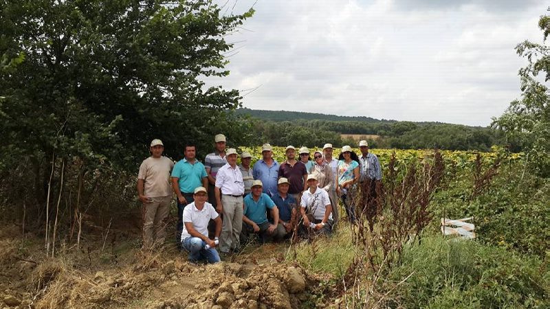 11222023_10153537587047248_4141380938001520216_n