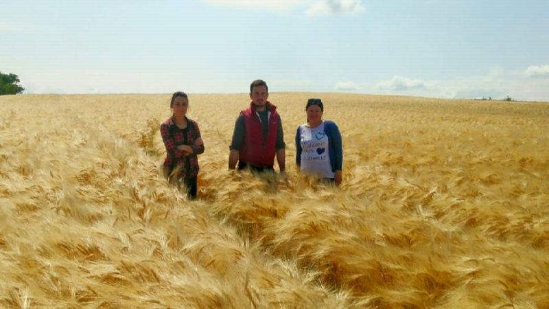 11407174_399865330222965_8613420446958013051_n