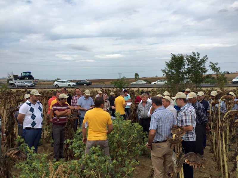 11904748_10153330927994213_4247622371658627912_n