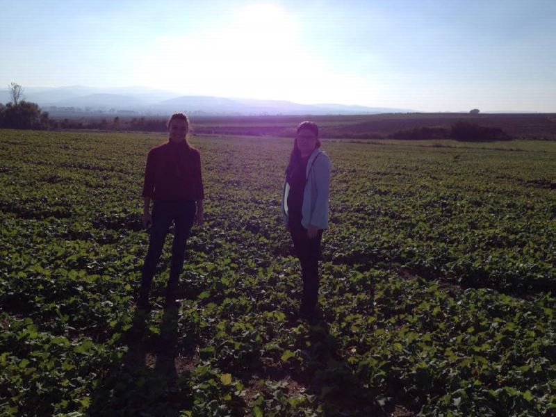 12506619_897390230359873_1763113380_n