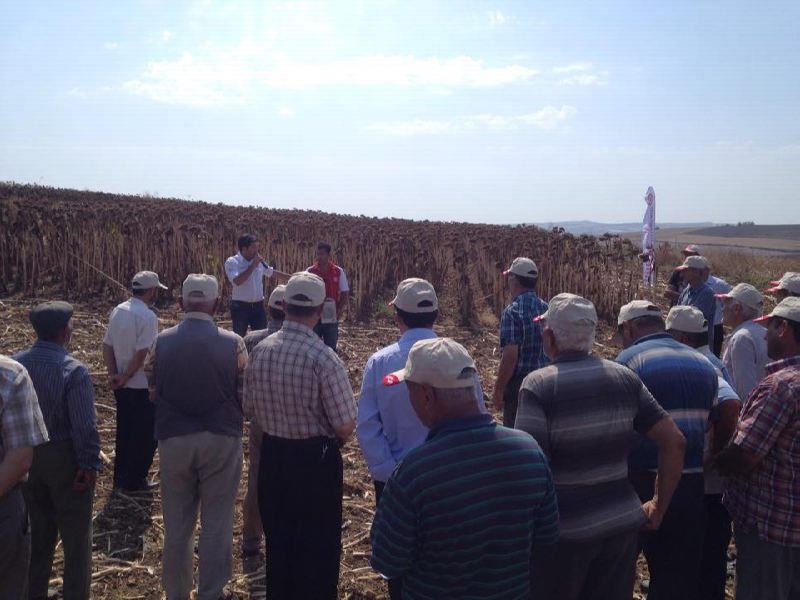 12516036_897391887026374_2145842266_n