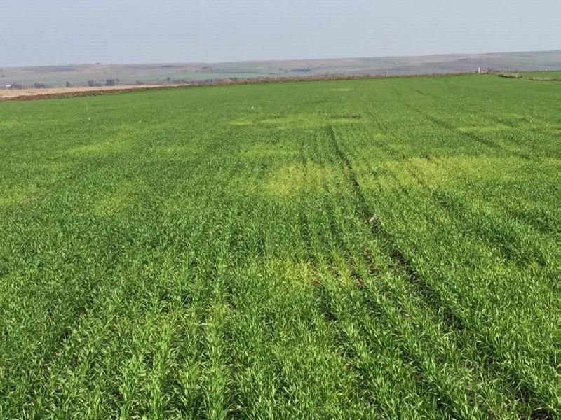 12528009_897389697026593_624992744_n