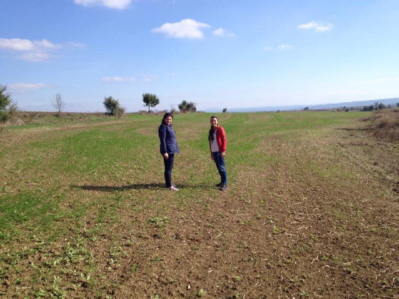 12540129_897390843693145_1723755819_n