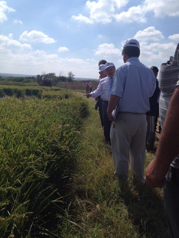 12540213_897391573693072_283602518_n