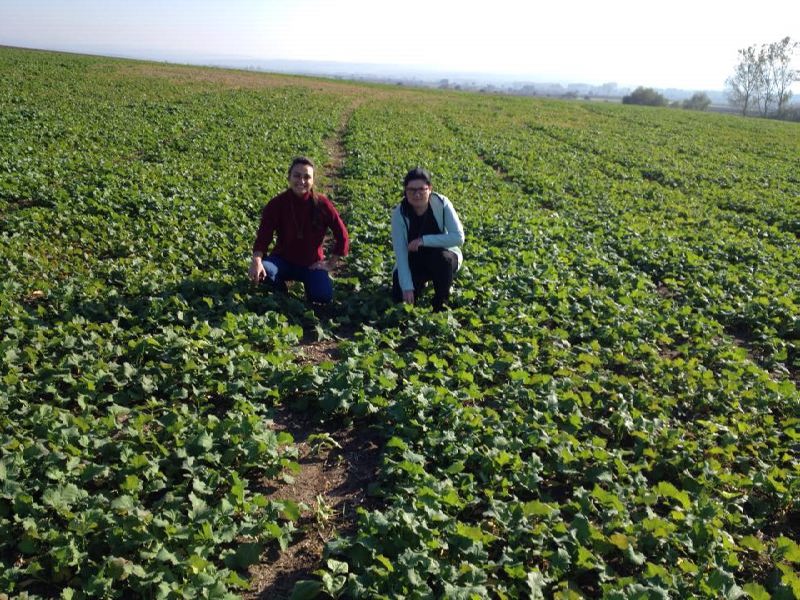 12570808_897390197026543_797566014_n