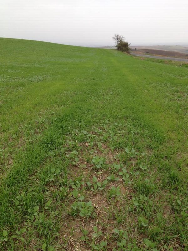 12570951_897390327026530_2039090971_n