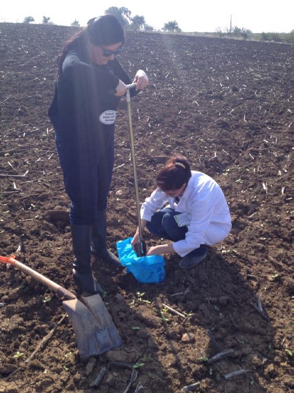 12571167_897390483693181_1424168290_n