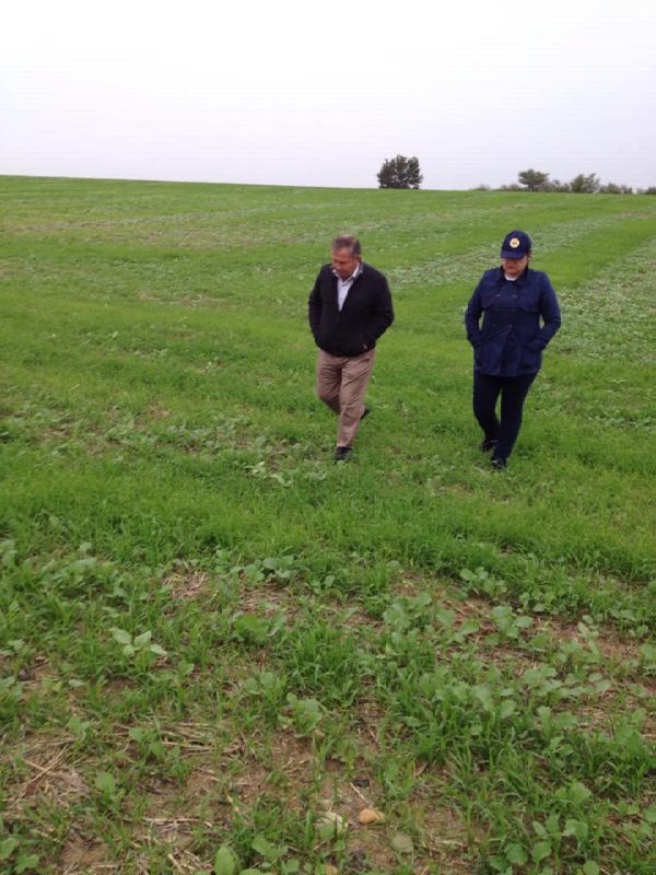 12571427_897390303693199_2036176537_n