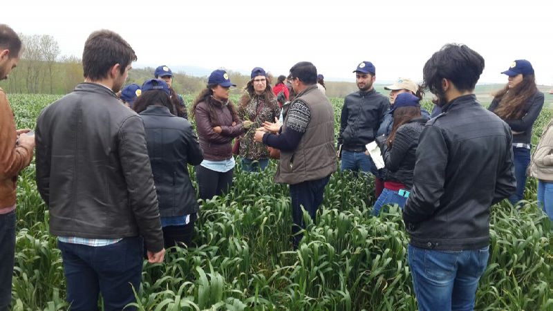 12672175_506608452881985_9116952650819421853_o