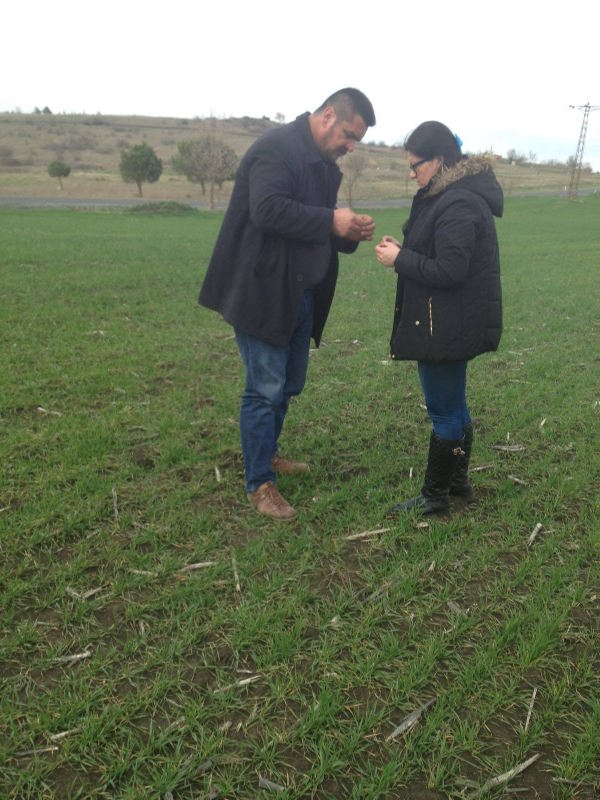 12787223_10153934188974909_224974763_o