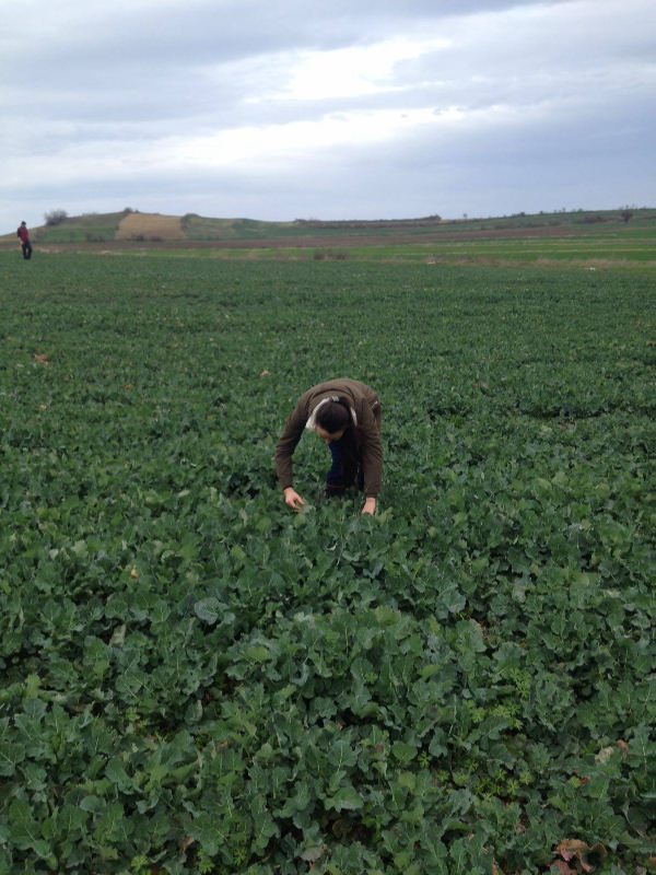 12788493_10153934317479909_1451891771_o