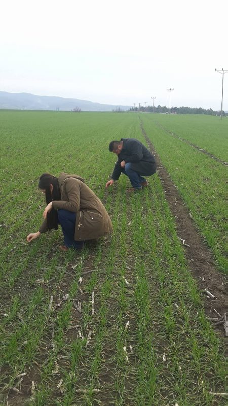 12810024_10153934189119909_620087285_o