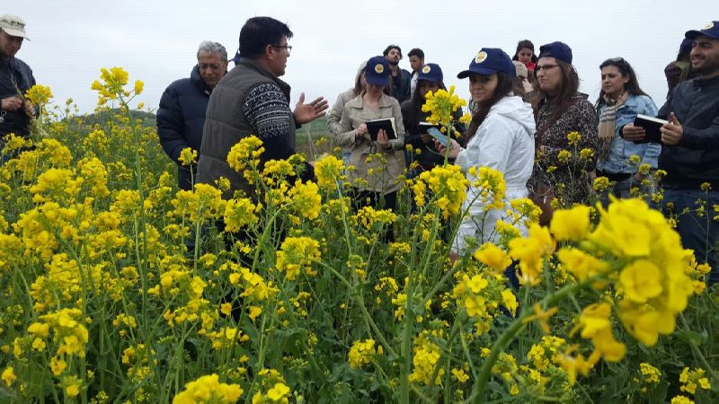 12916900_506608632881967_4020381270534614655_o